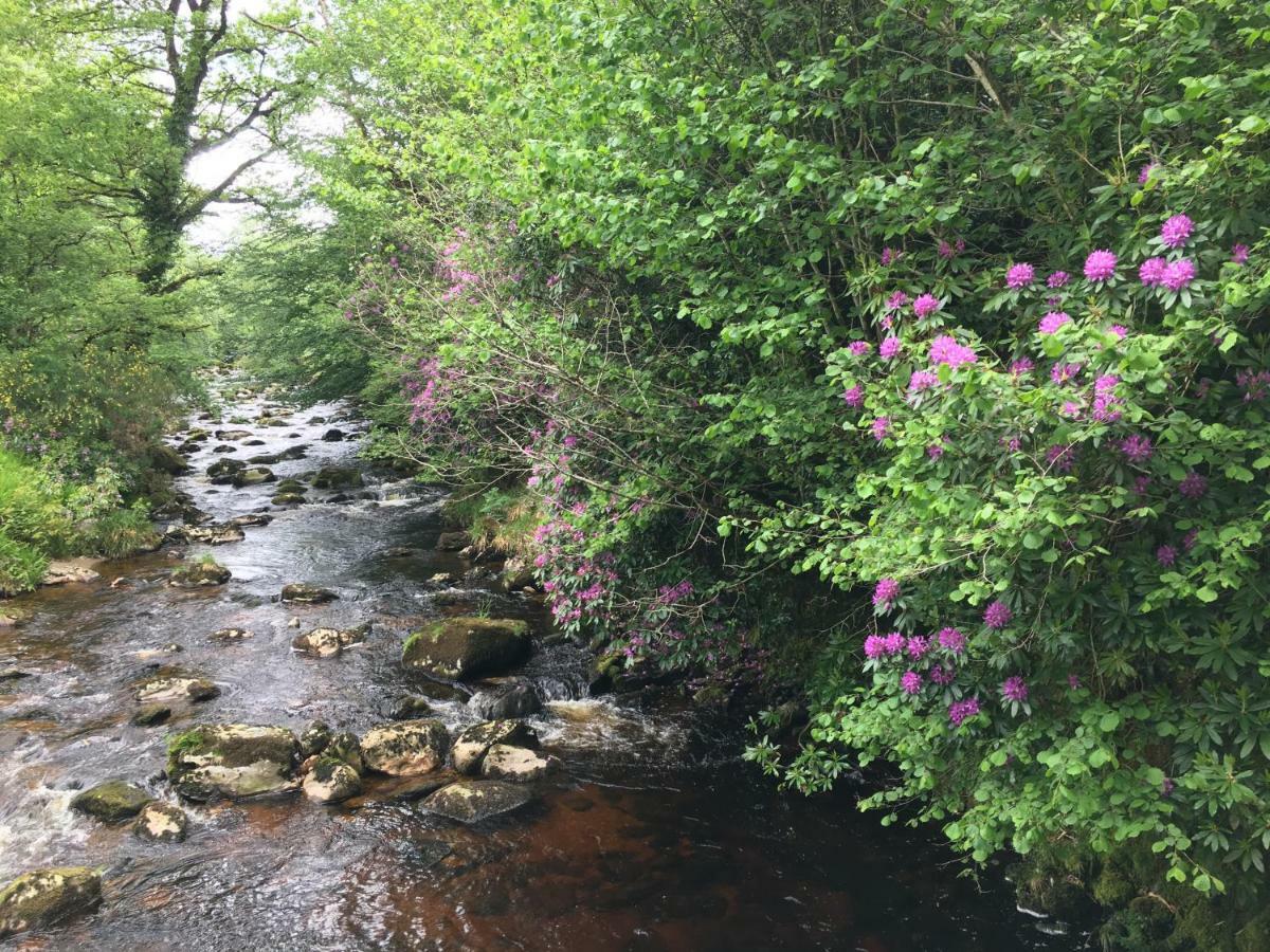 Ballyteige Lodge Ballyteige Bridge Extérieur photo